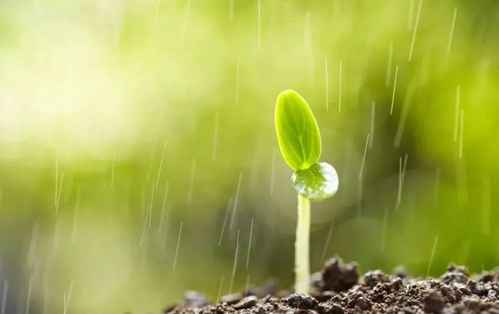 意思是,雨水节气前后,天地解冻,水生木,春雨一来,生命起,生机现,万物