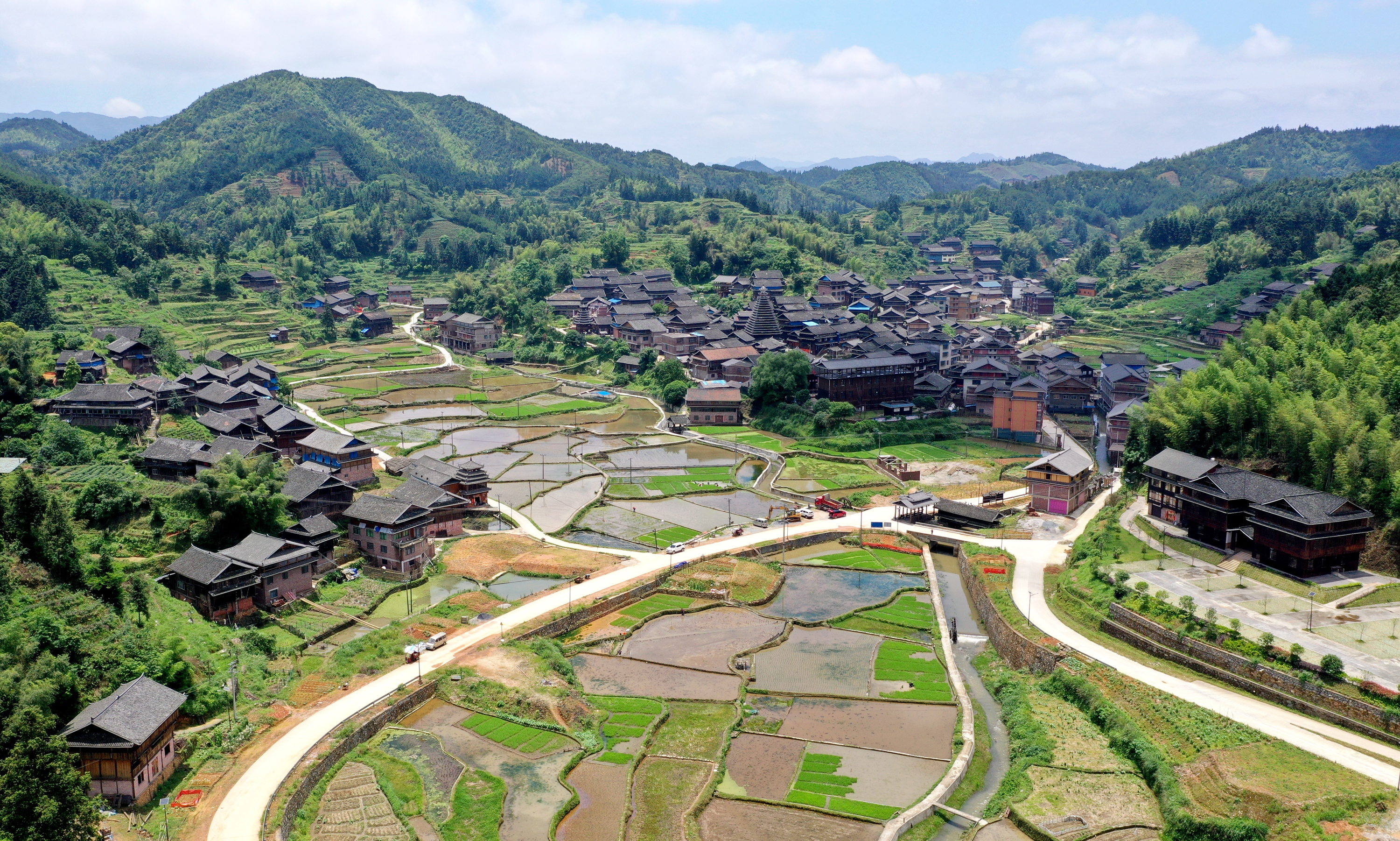 2021年5月25日,广西三江侗族自治县林溪镇高秀村村民在水田里拔秧苗.