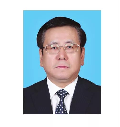 王凯当选河南省省长