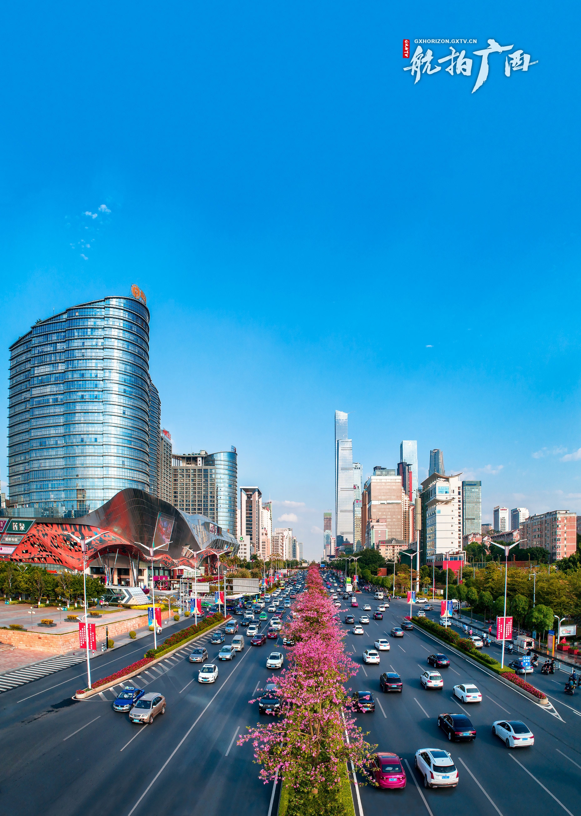 南宁民族大道花开喜迎第十七届中国-东盟博览会