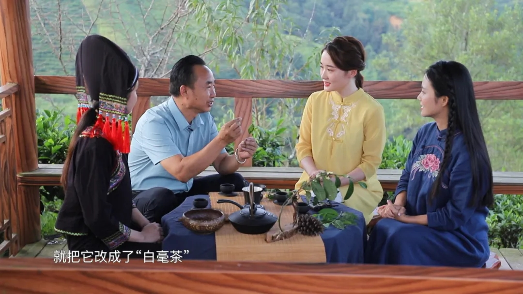 泗水缤纷茶香满盈跟着谢旦杏县长品味凌云