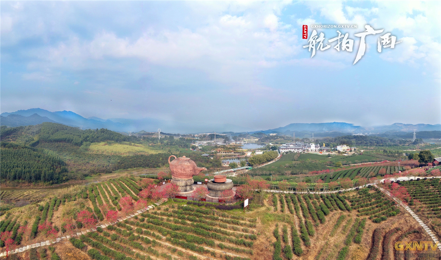 上林春风又绿万古茶园