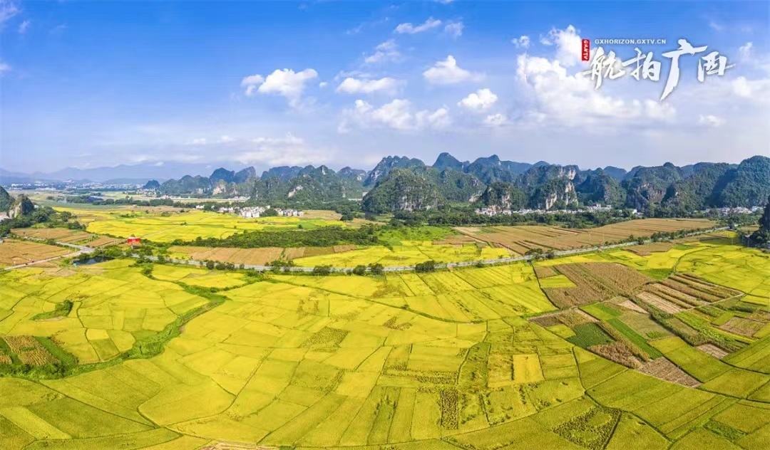 八桂壮美丰收季拍了拍你说