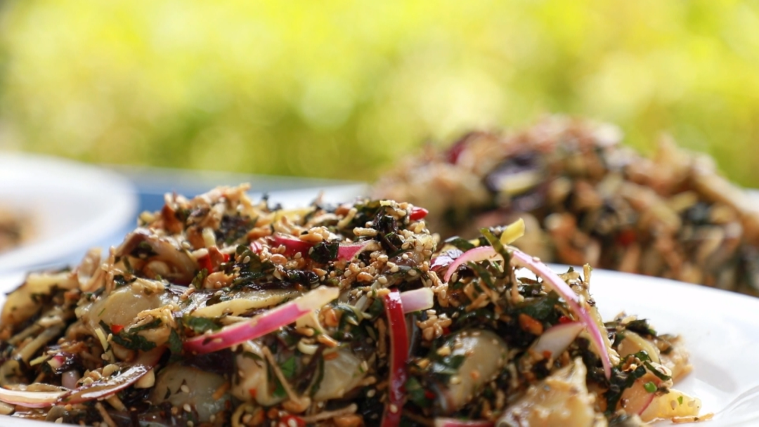 鱼生请指教沿着高速看广西乡村振兴藤县