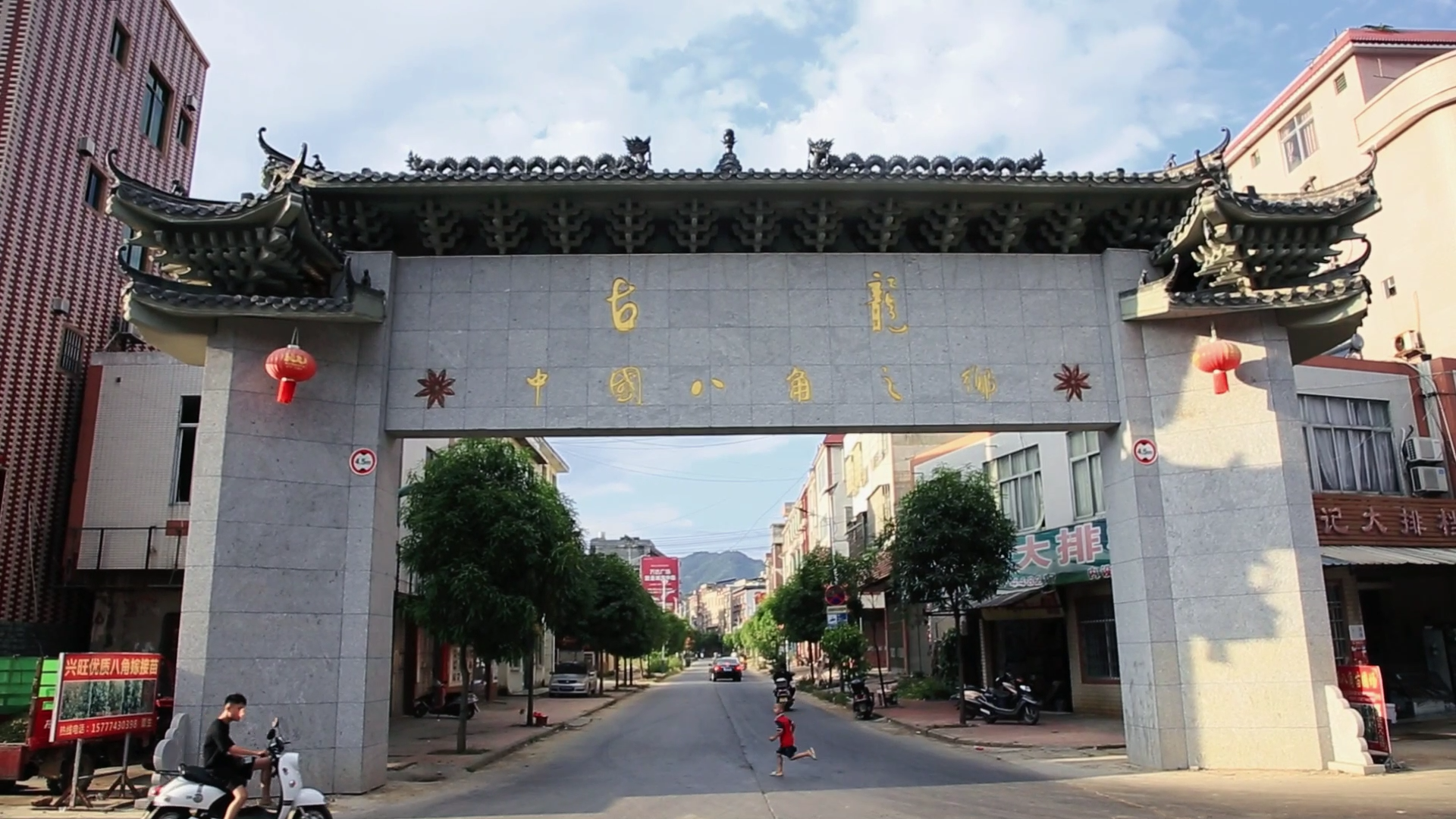 古龙家家八角香全民致富加速度沿着高速看广西乡村振兴藤县