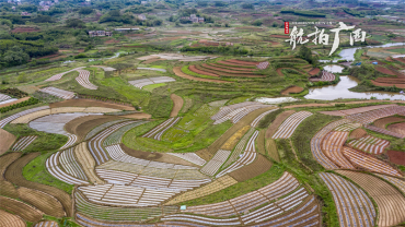 大地织锦绣