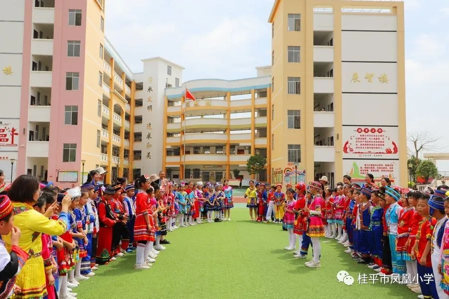 桂平市凤凰小学图片