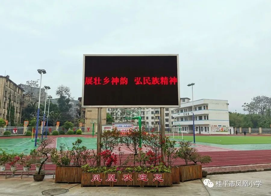 桂平市凤凰小学图片