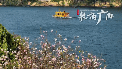 跟着水上公交游柳州