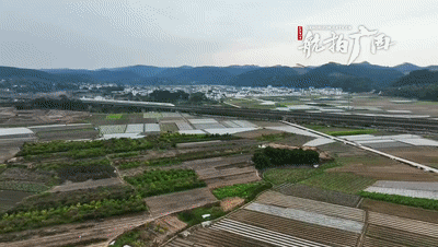 开往春天的列车