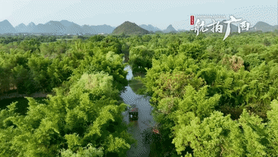 “漓江之肾”会仙湿地
