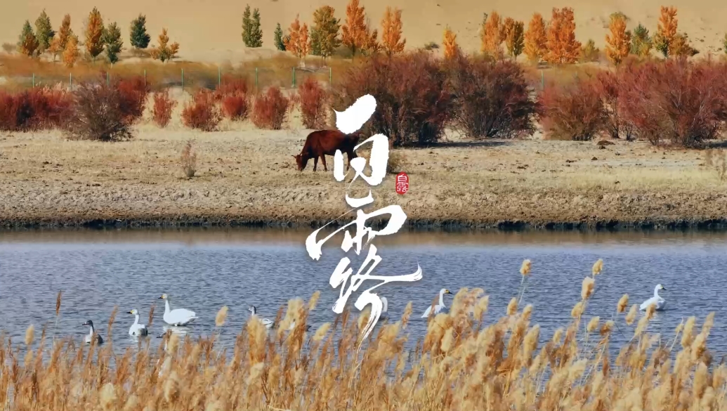 文化中国｜白露时节，暑气渐退，寒气初生