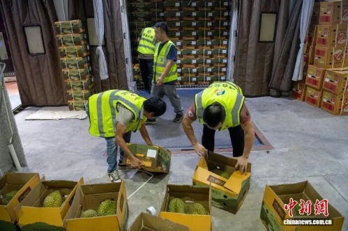 AI赋能全链条 广西让东盟水果“鲜”入中国