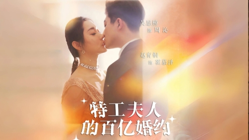 特工夫人的百亿婚约